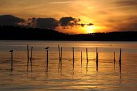 FB Yachtcharter :: Müritz Sonnenuntergang